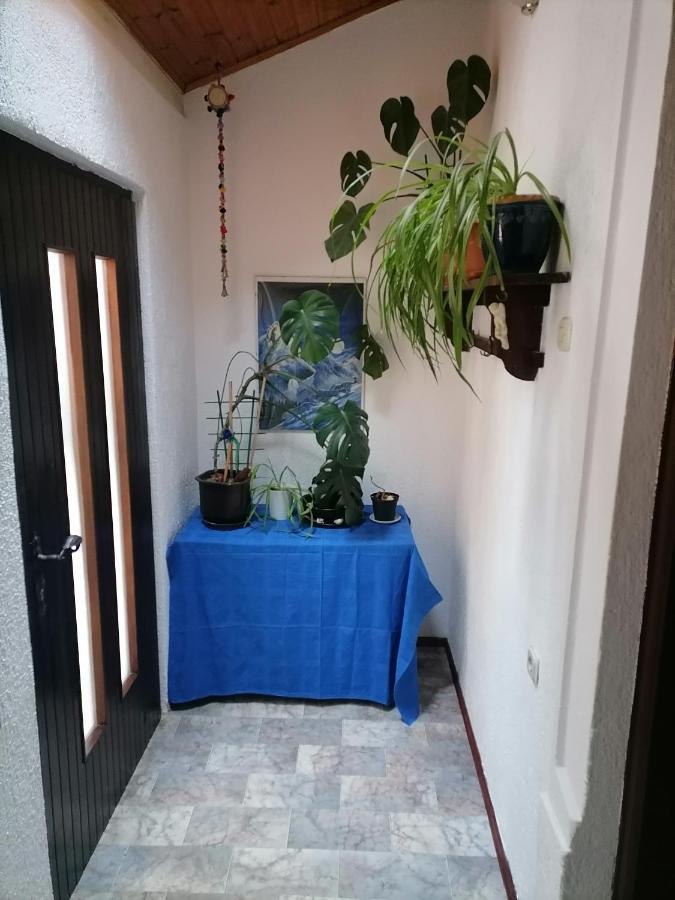 Apartman Zepina PUY 외부 사진