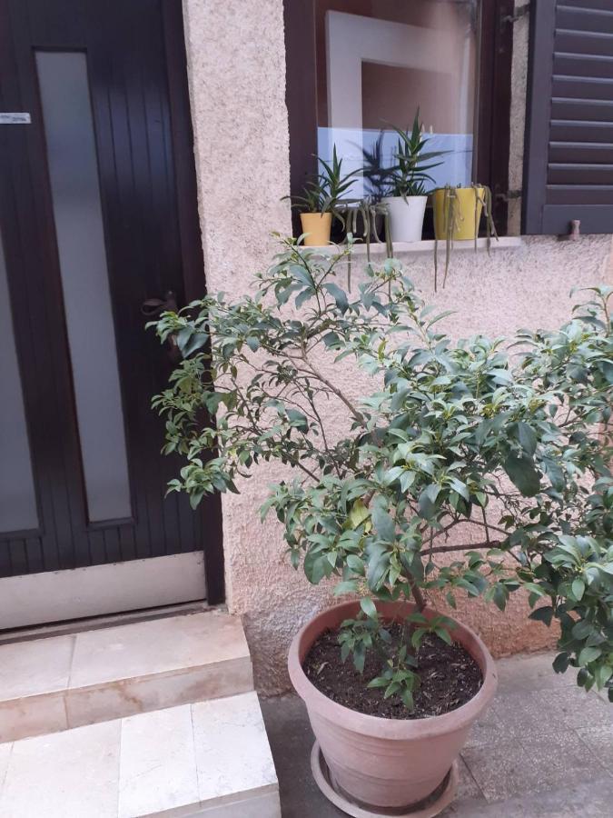 Apartman Zepina PUY 외부 사진